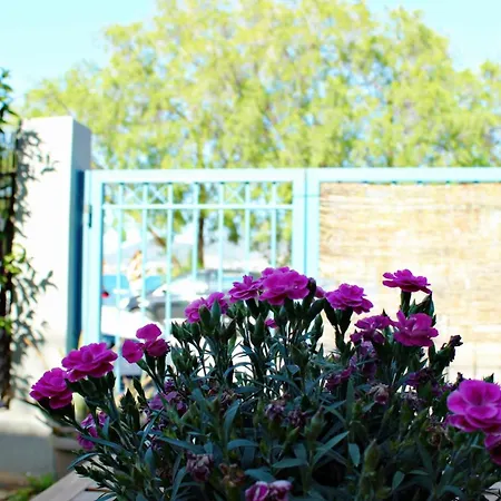 Seaside House With Garden דירה