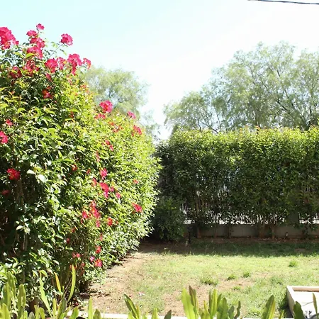 Seaside House With Garden *